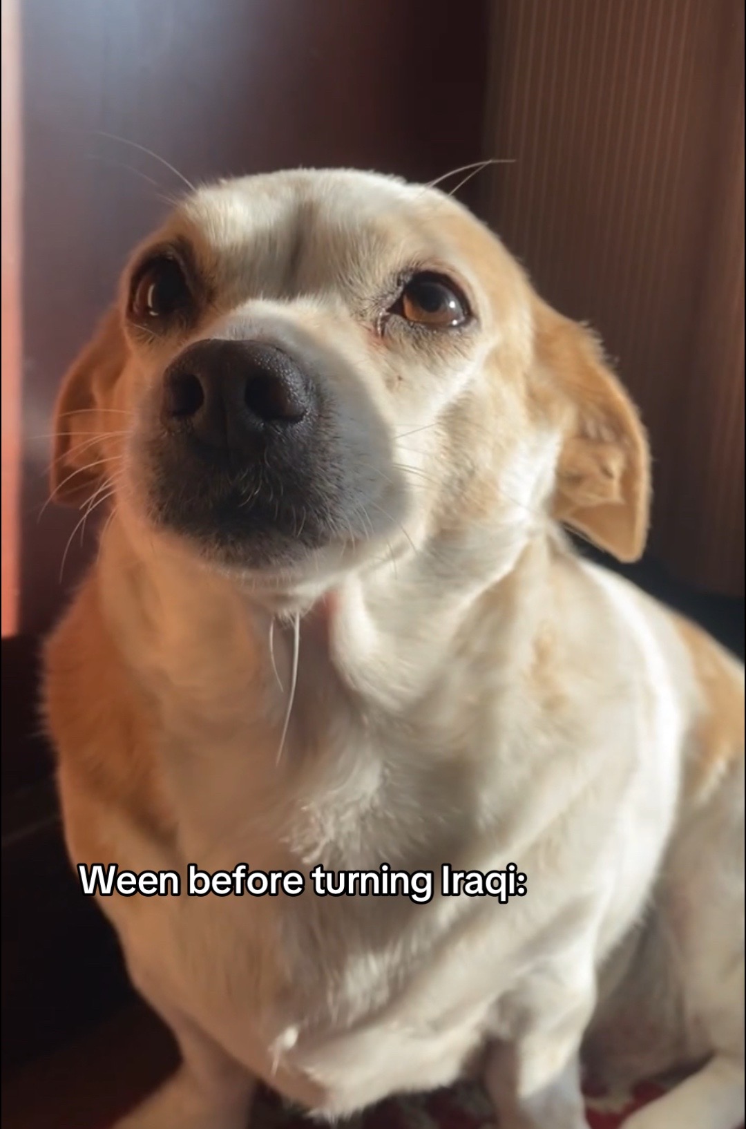 @Ween