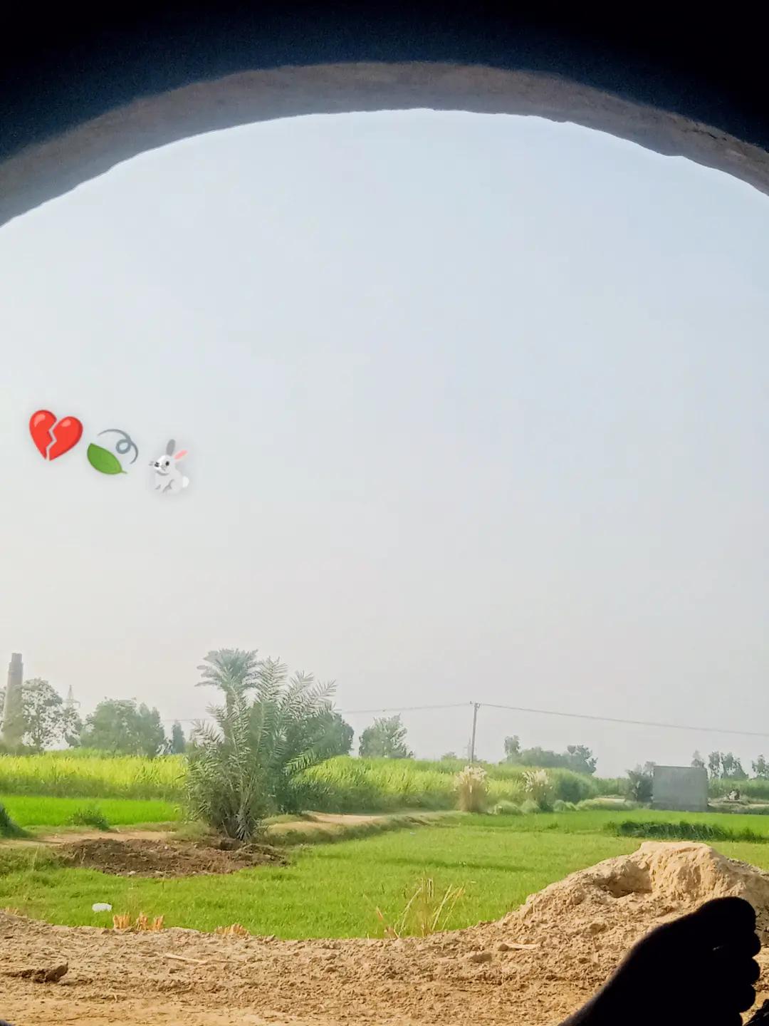 @asad bhakal بھ۔کل