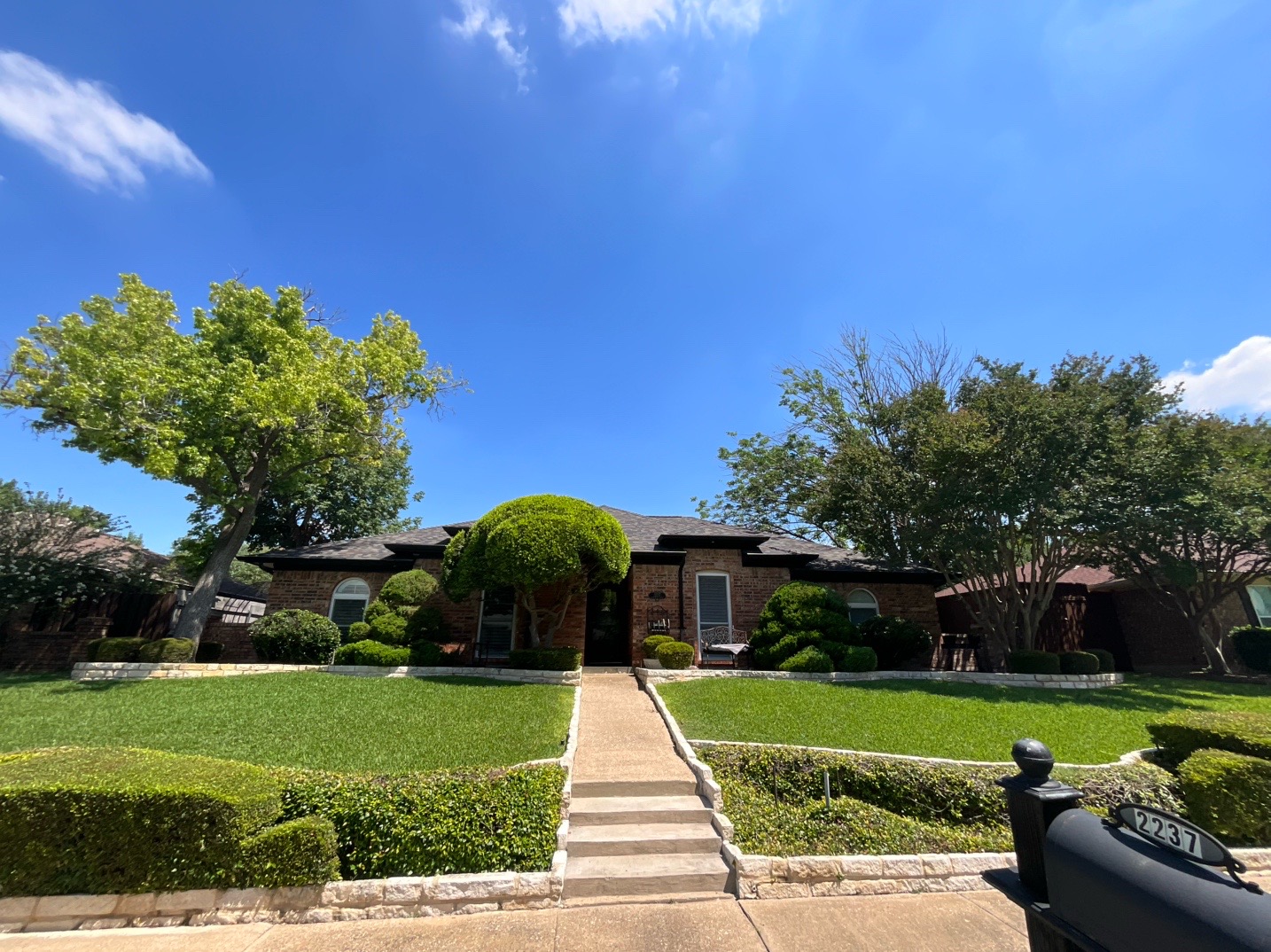 @Live Oak Tree Service
