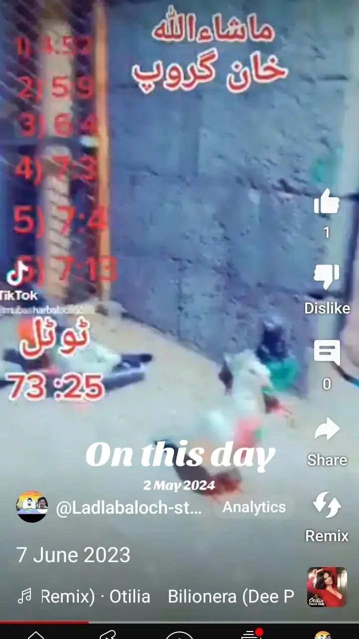 @LadlaBaloch313bv