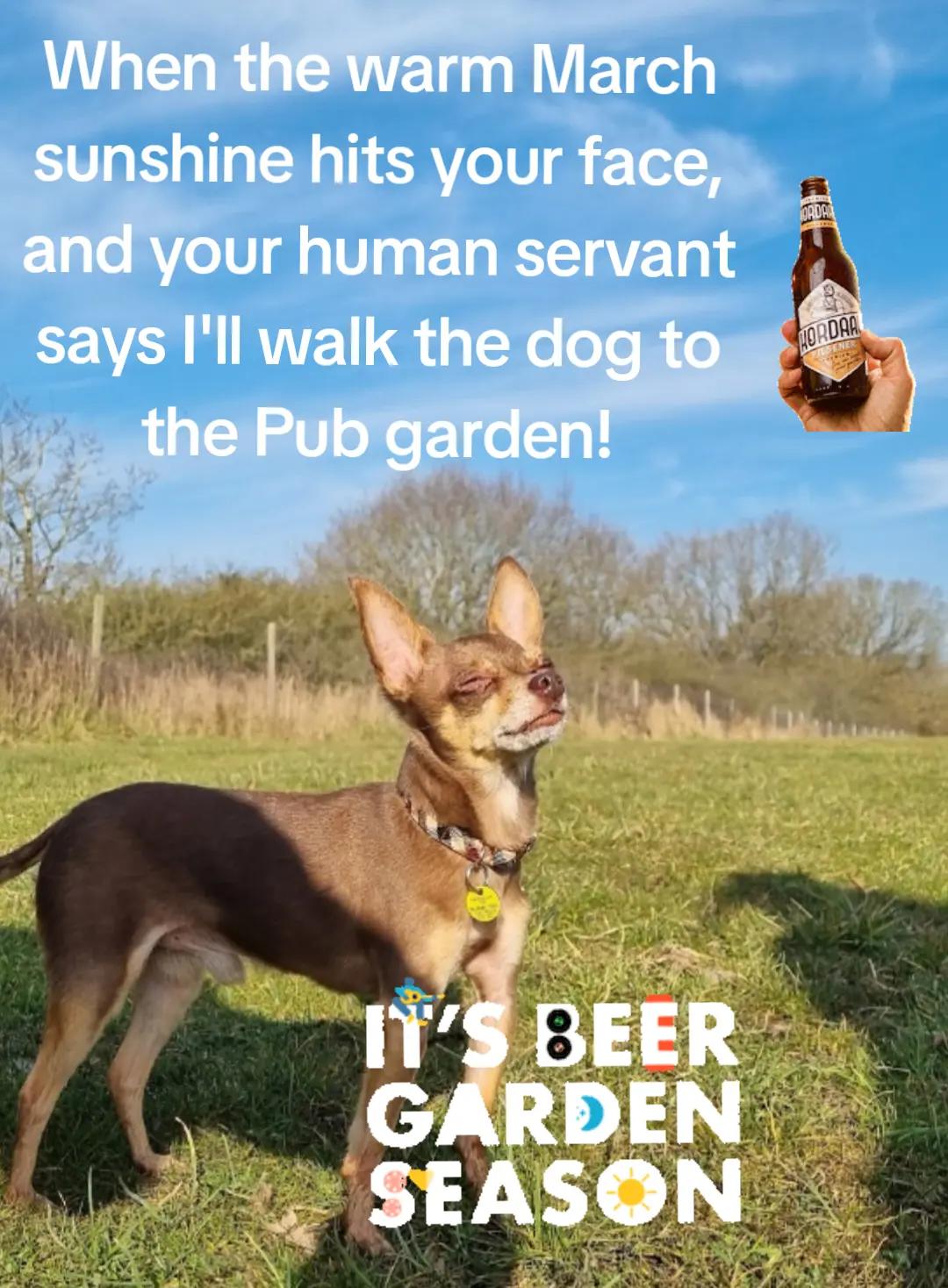 @Cheekybeerlad81