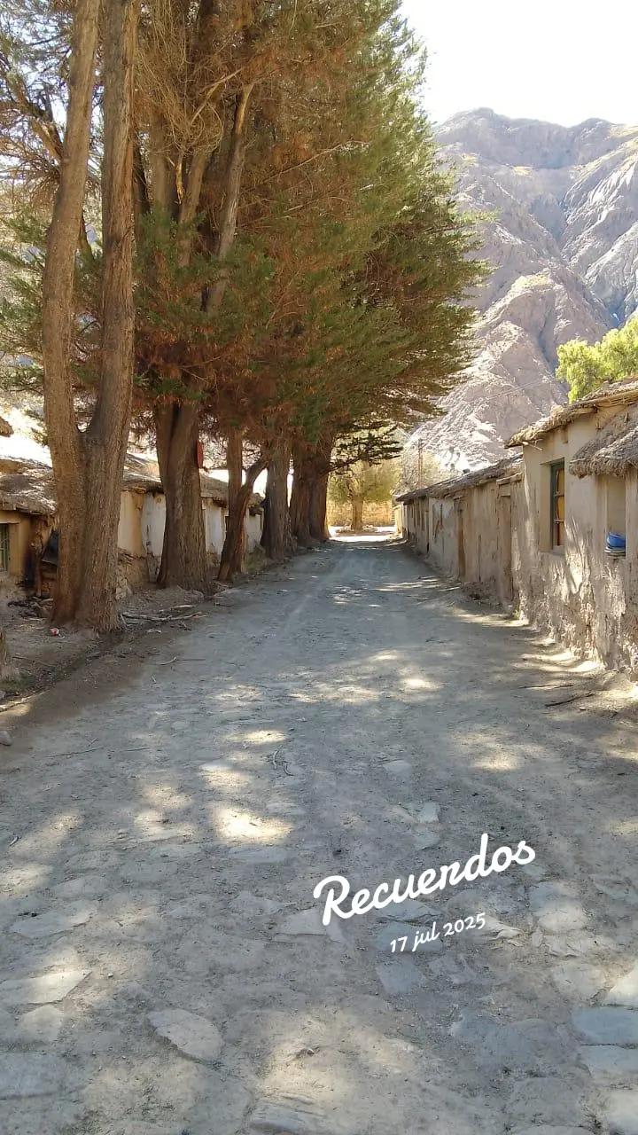 @Gonzalo medinaceli
