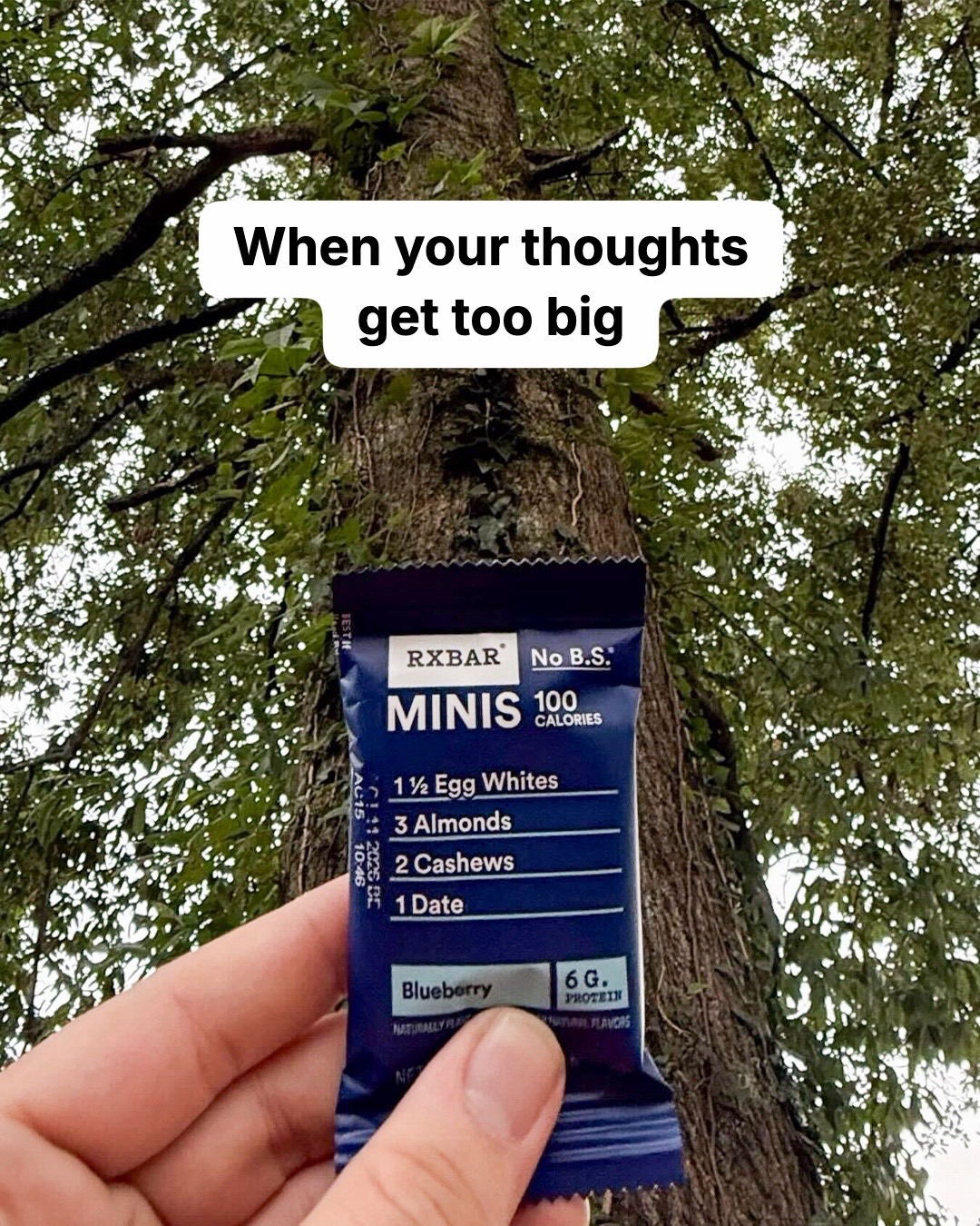 @RXBAR