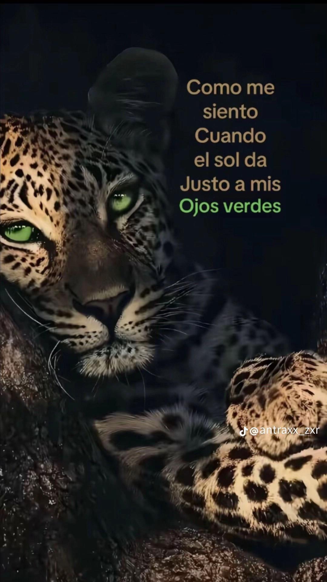 @__candee12