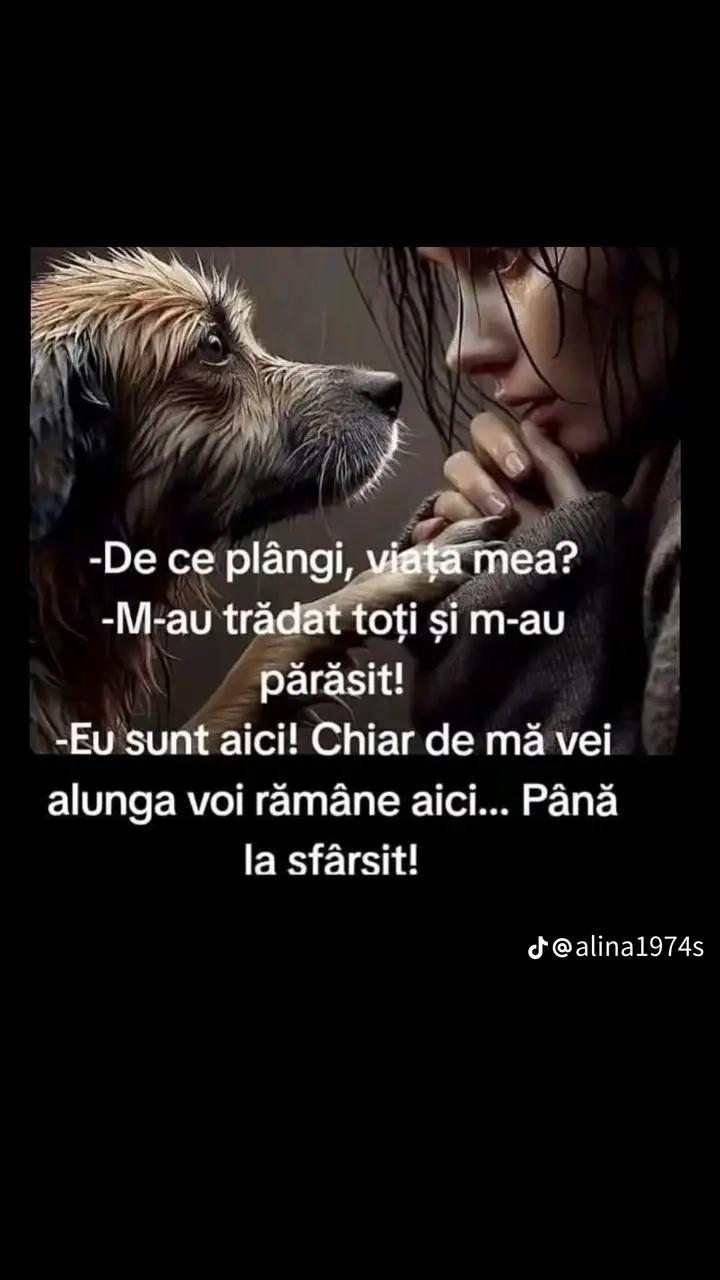 @Elena