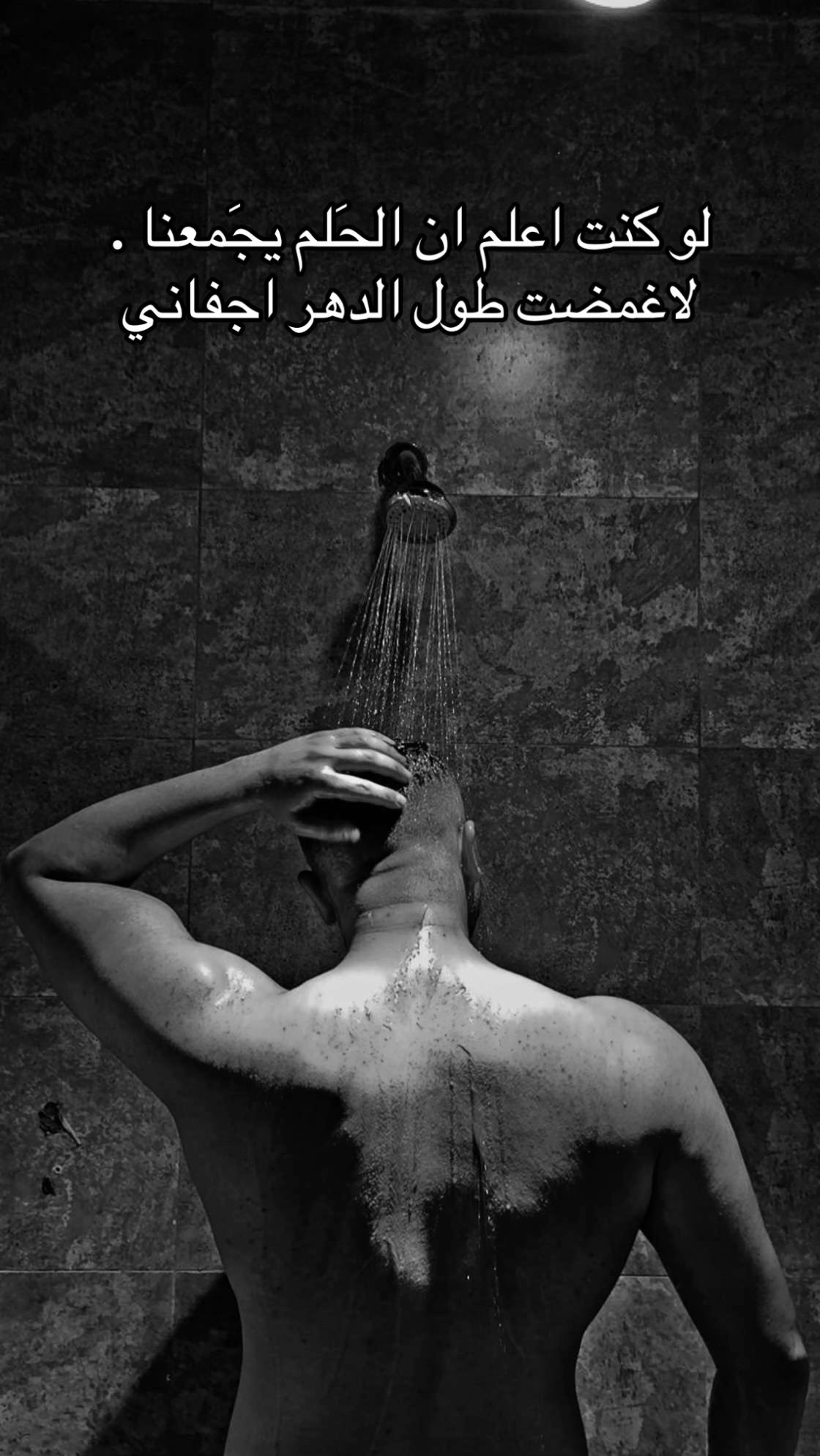 @علي الكردي