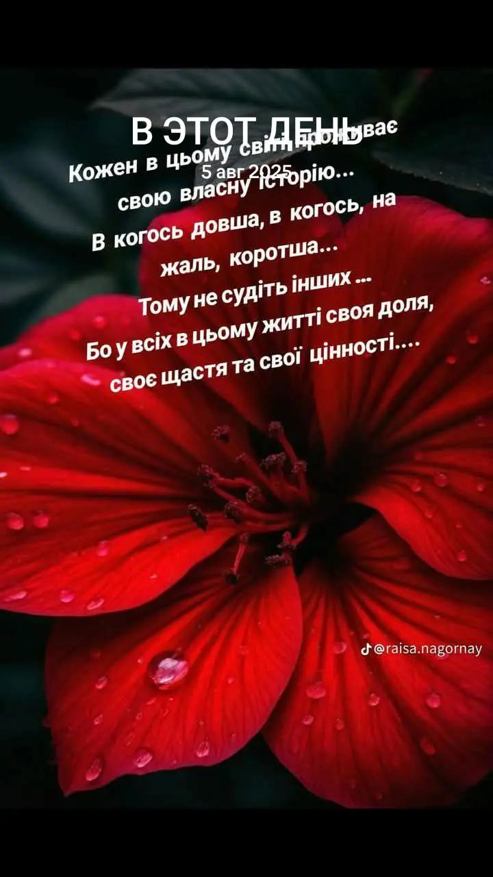@Натали