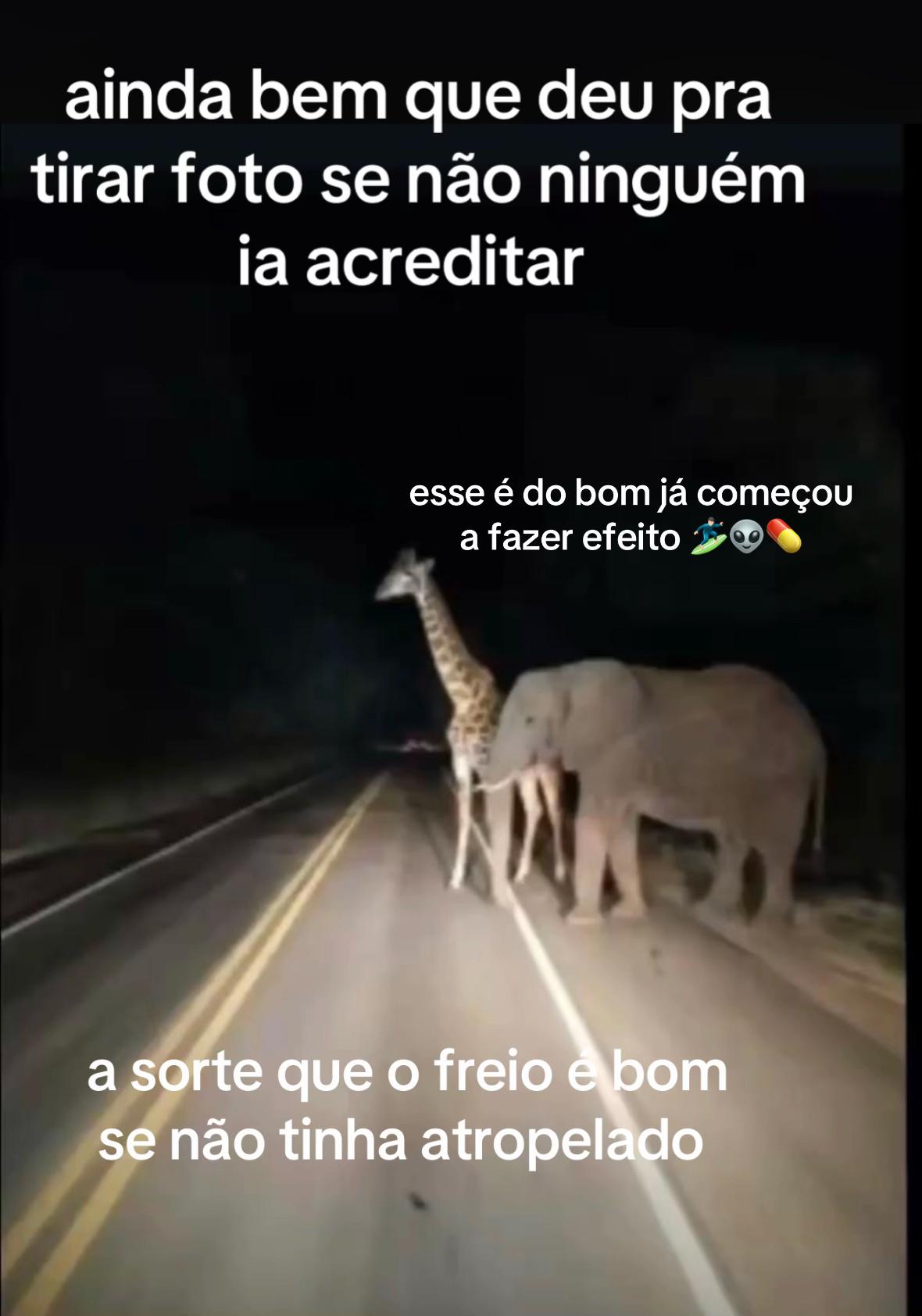 @Guilherme Pinheiro