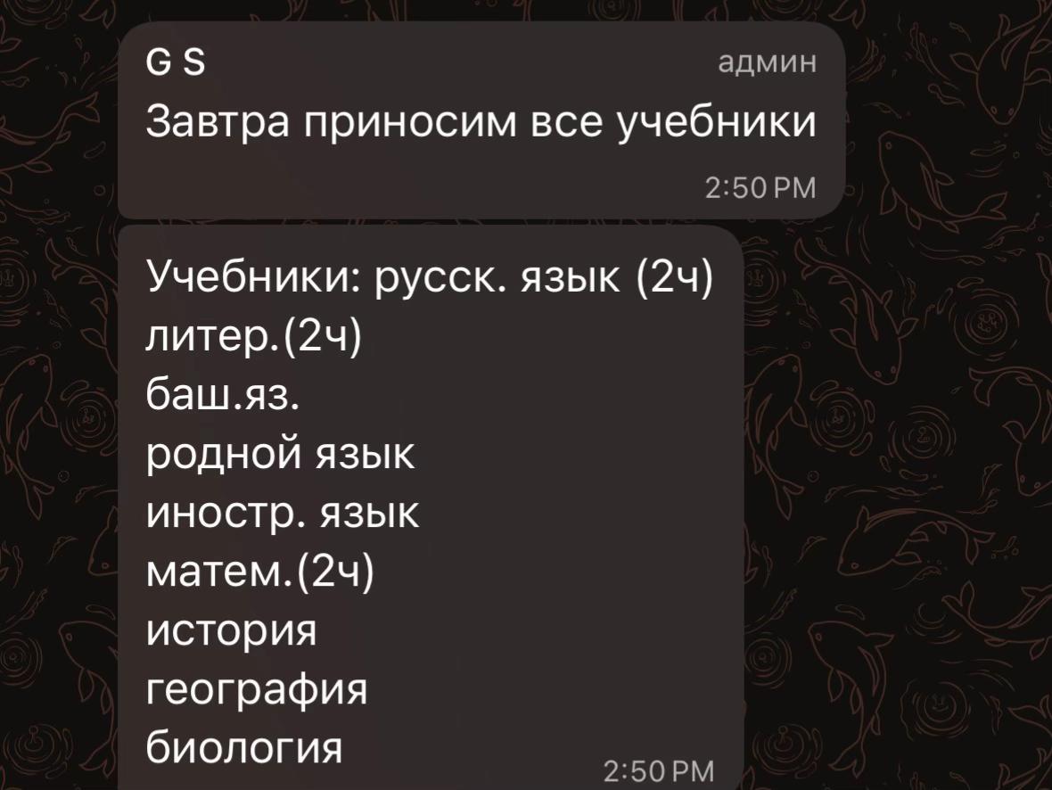 @vilox🥷