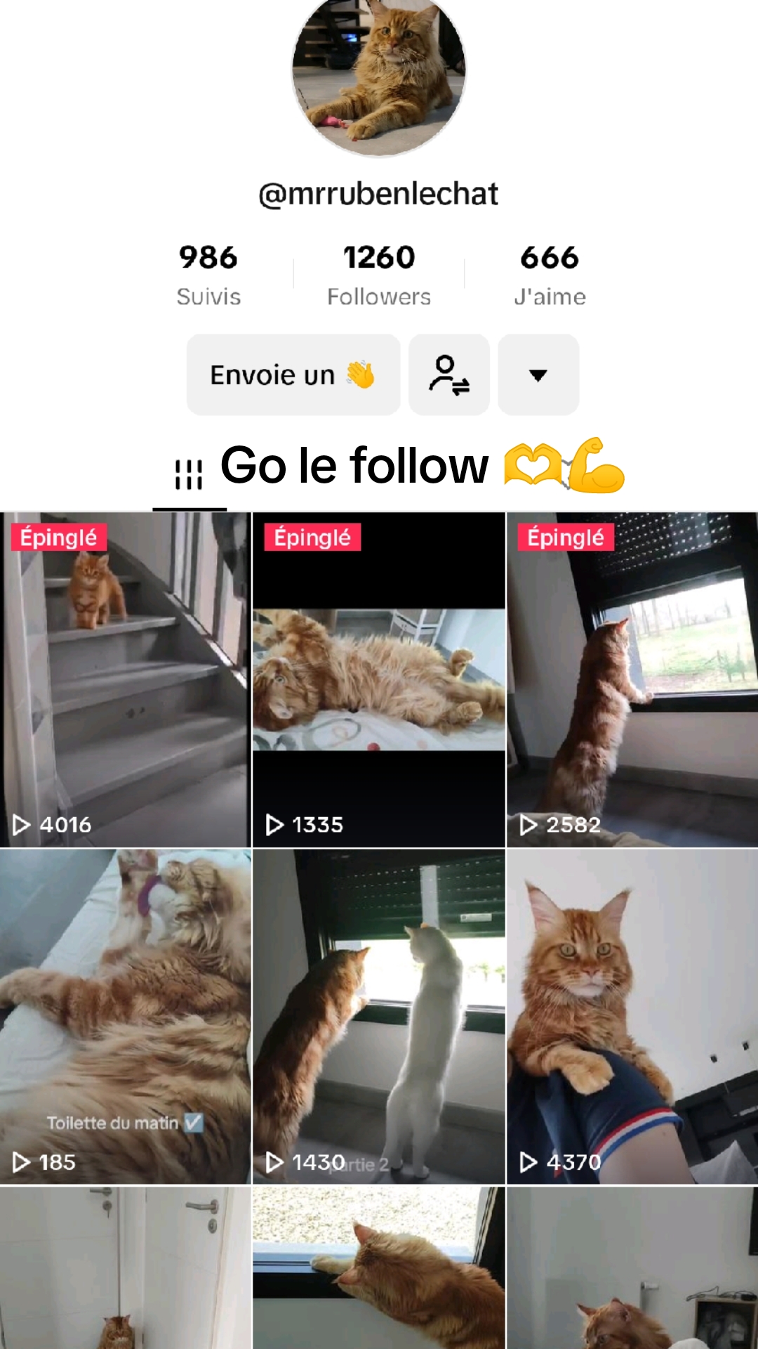 @LaDinguerie59✌️