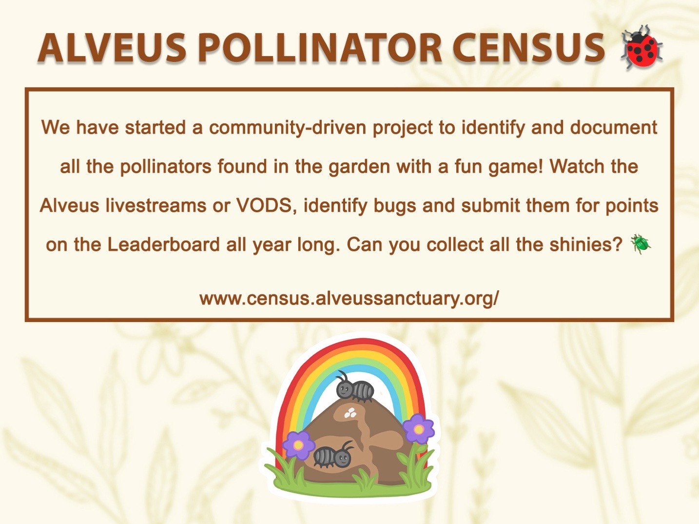 @Alveus Sanctuary