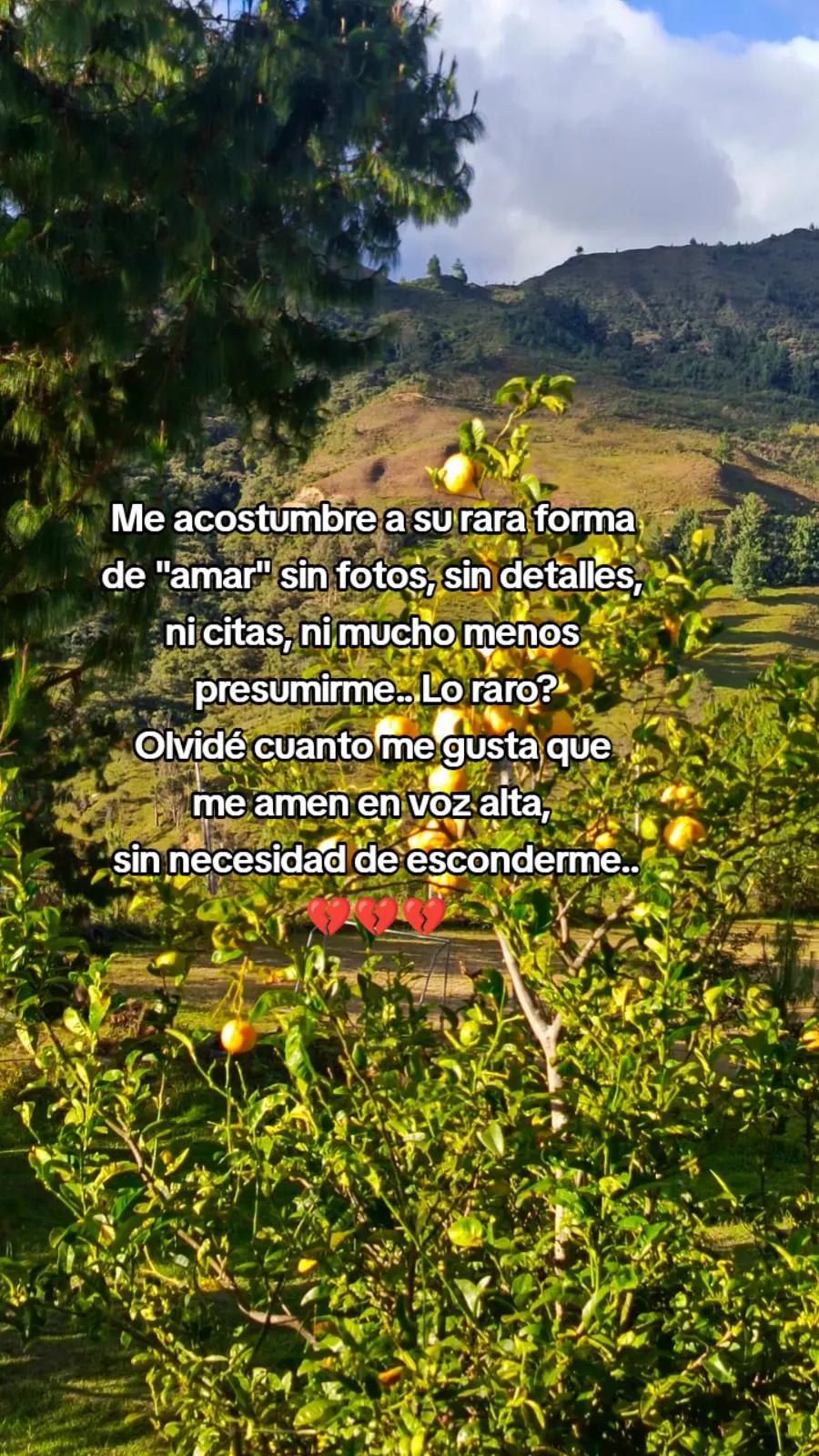@Mely Jime