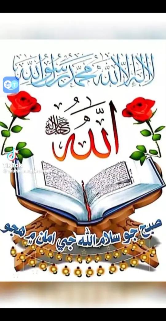 @Mirza G 786