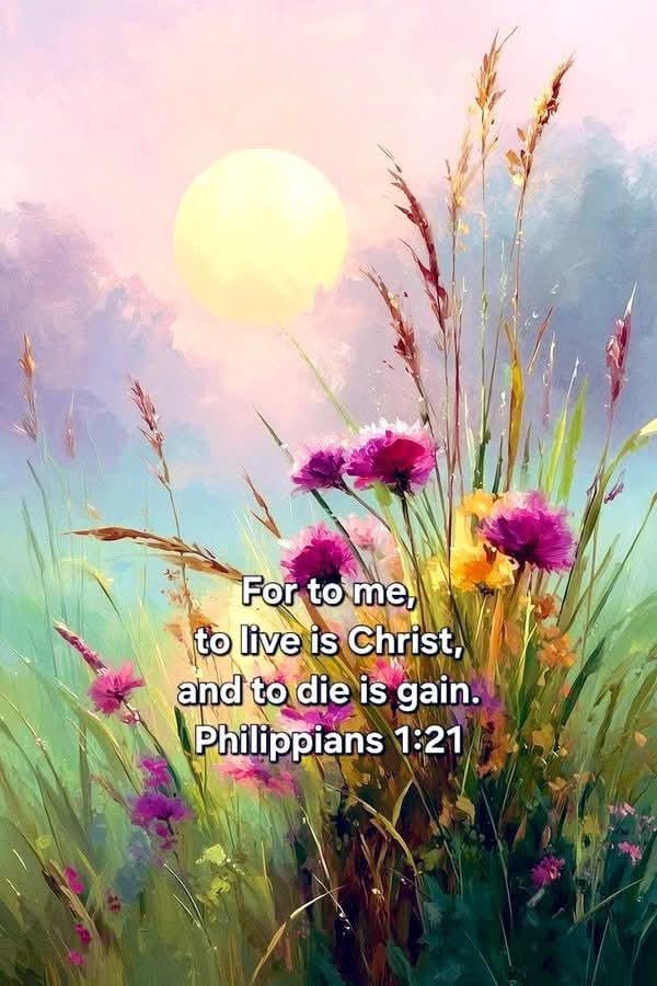 @Jesus Saves