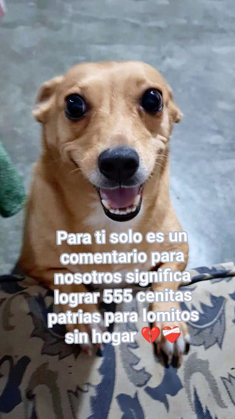 @Adriana Torres ACTUE