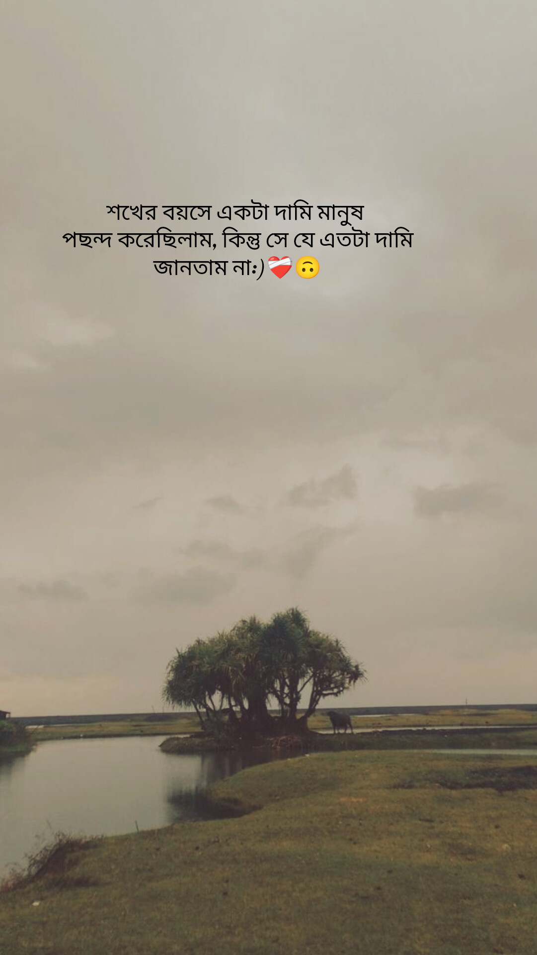 @Life.storyđ