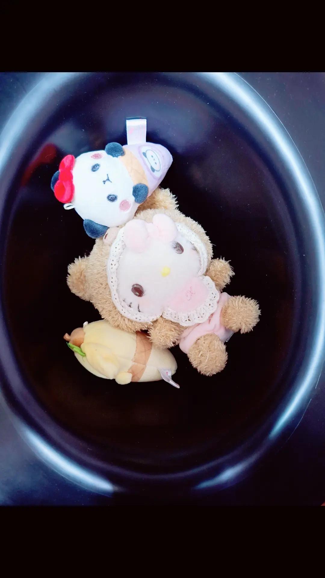 @My daughter's dog Bocchi✅️