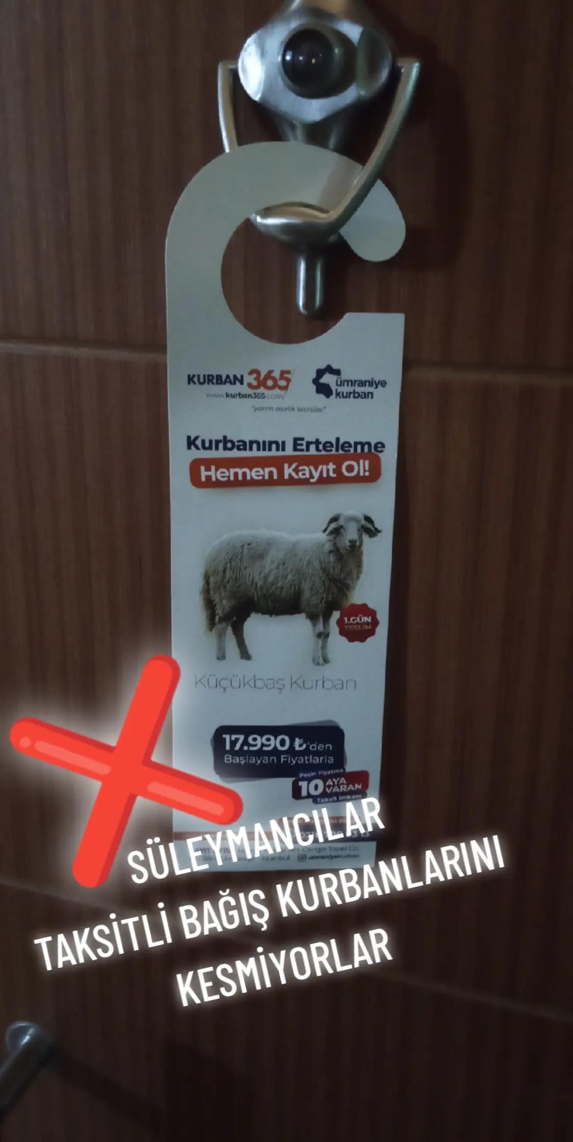 @ZEMİN AY DOGDU