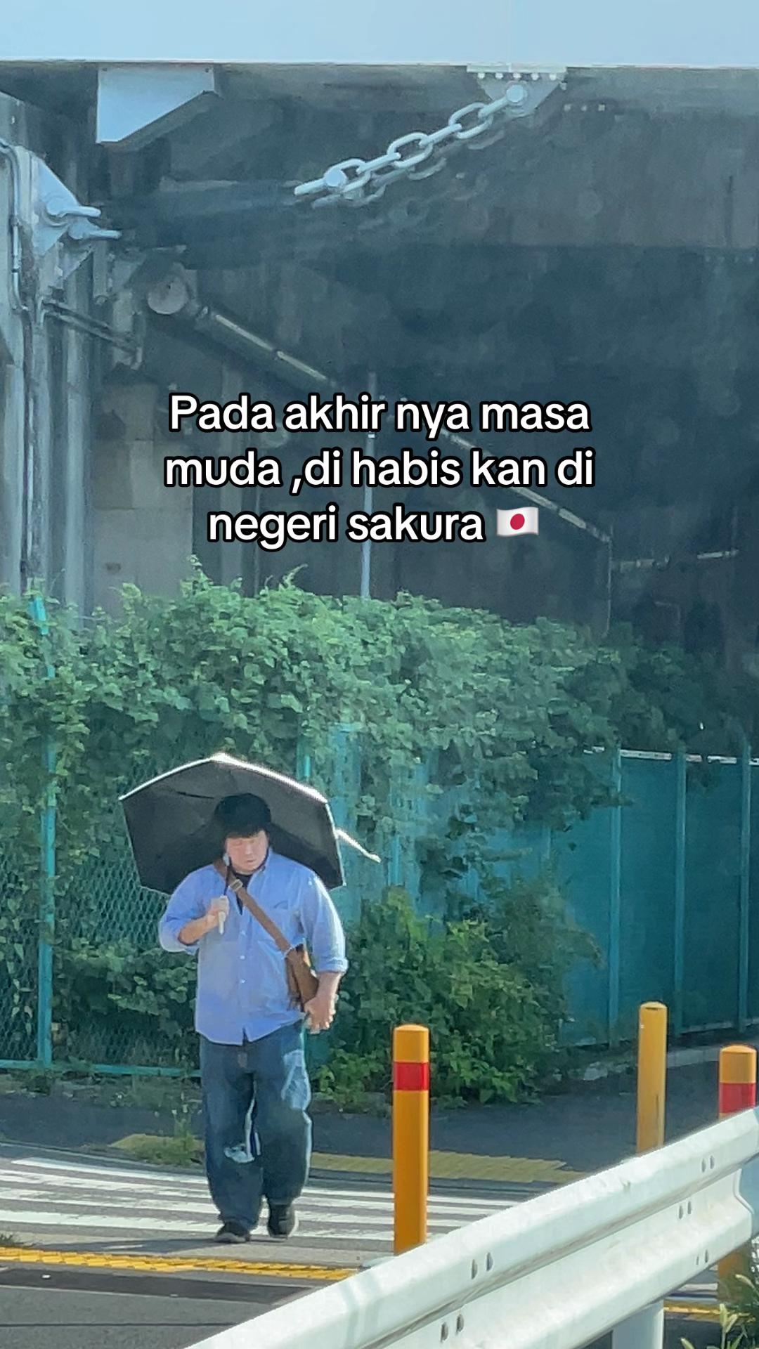 @iePipin🌵