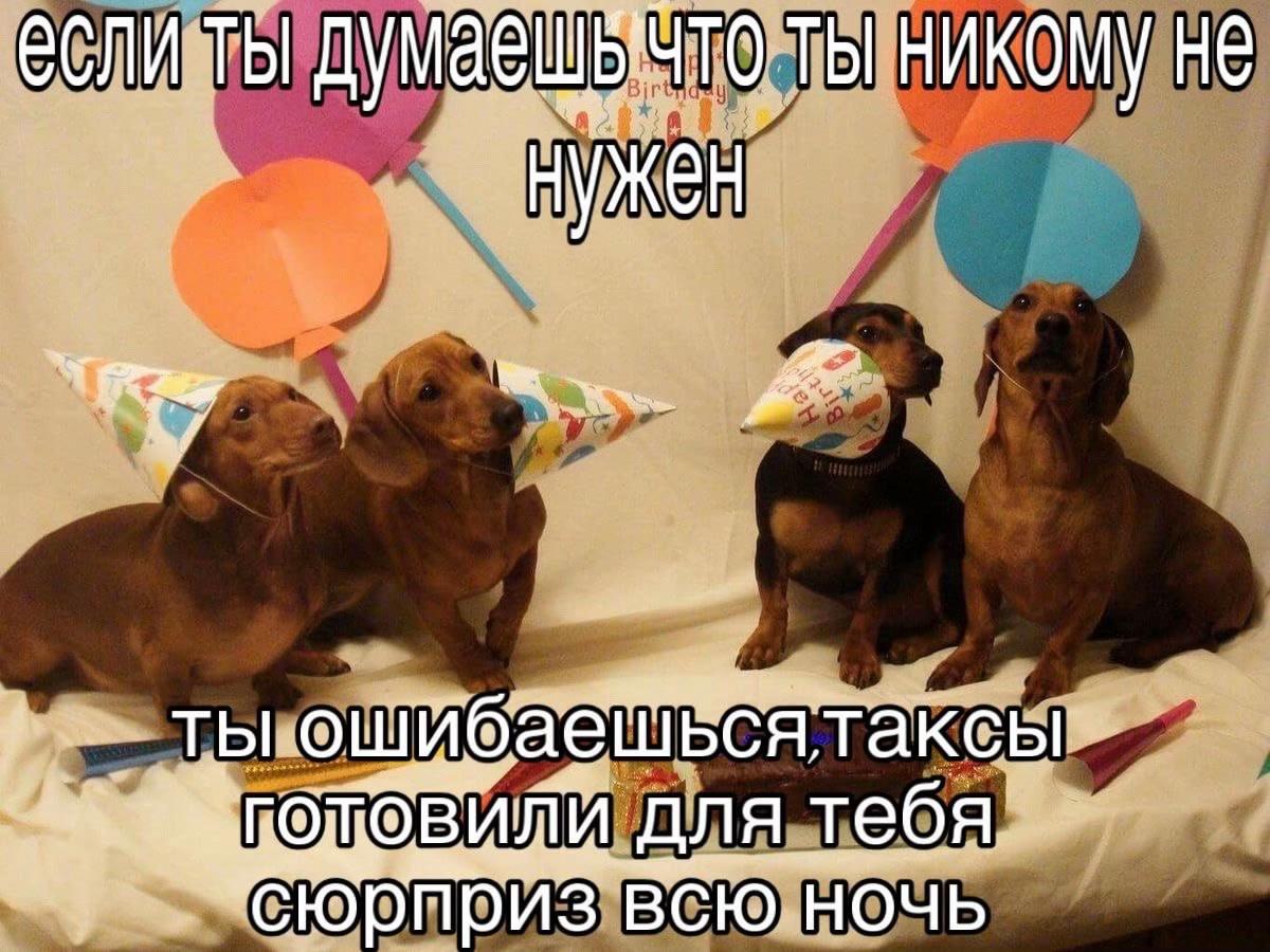 @mahaebala