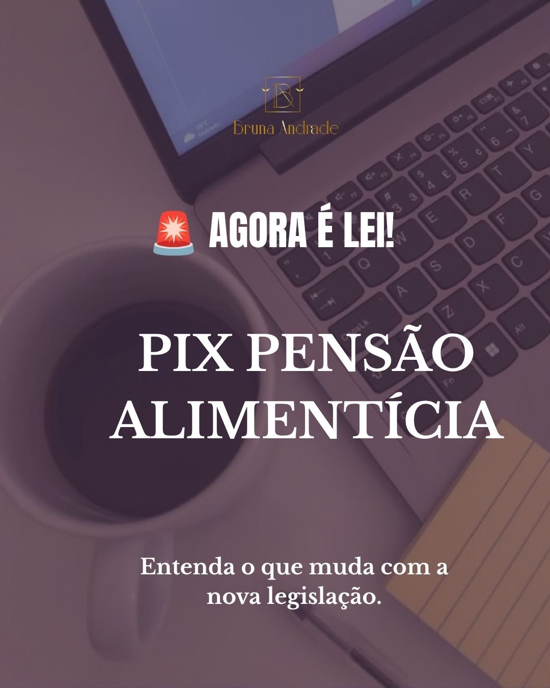 @brrunandrade.adv