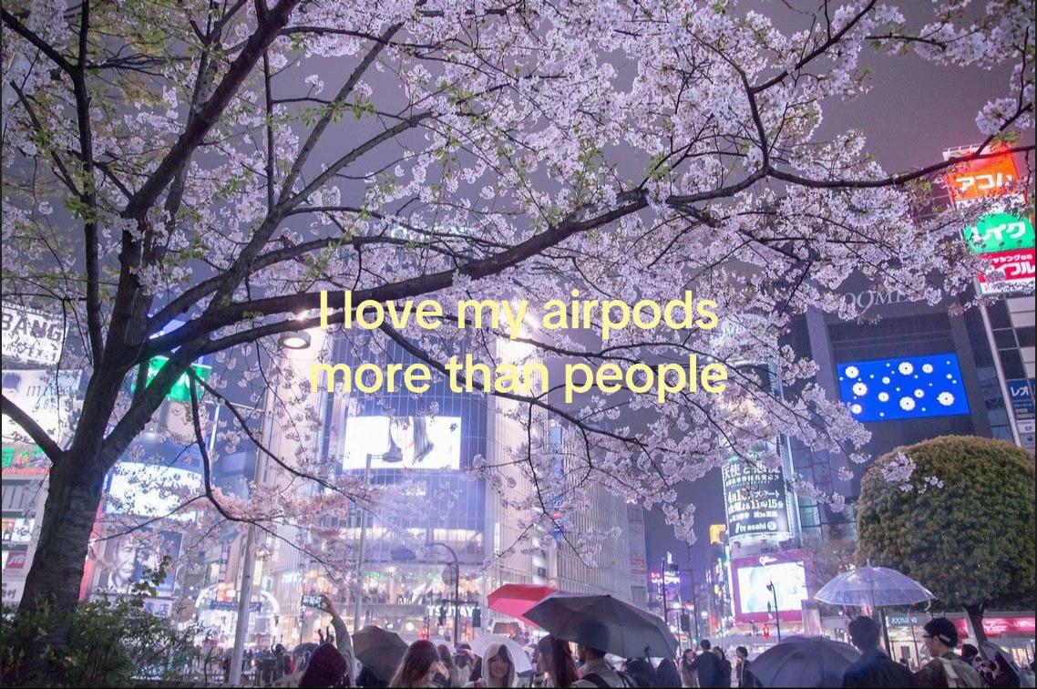 @๐๐ถ๐๐ถ๐ฝ