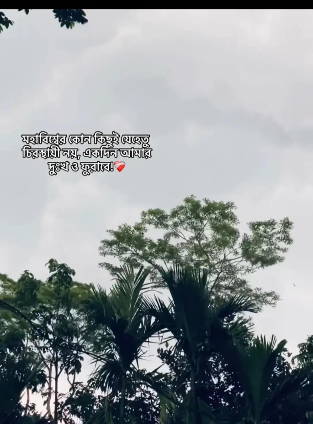 @Ahmed hasan.🕊️✨
