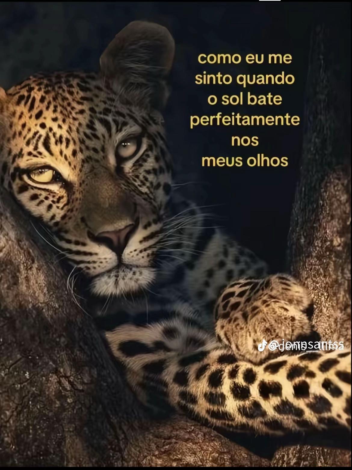 @Samella