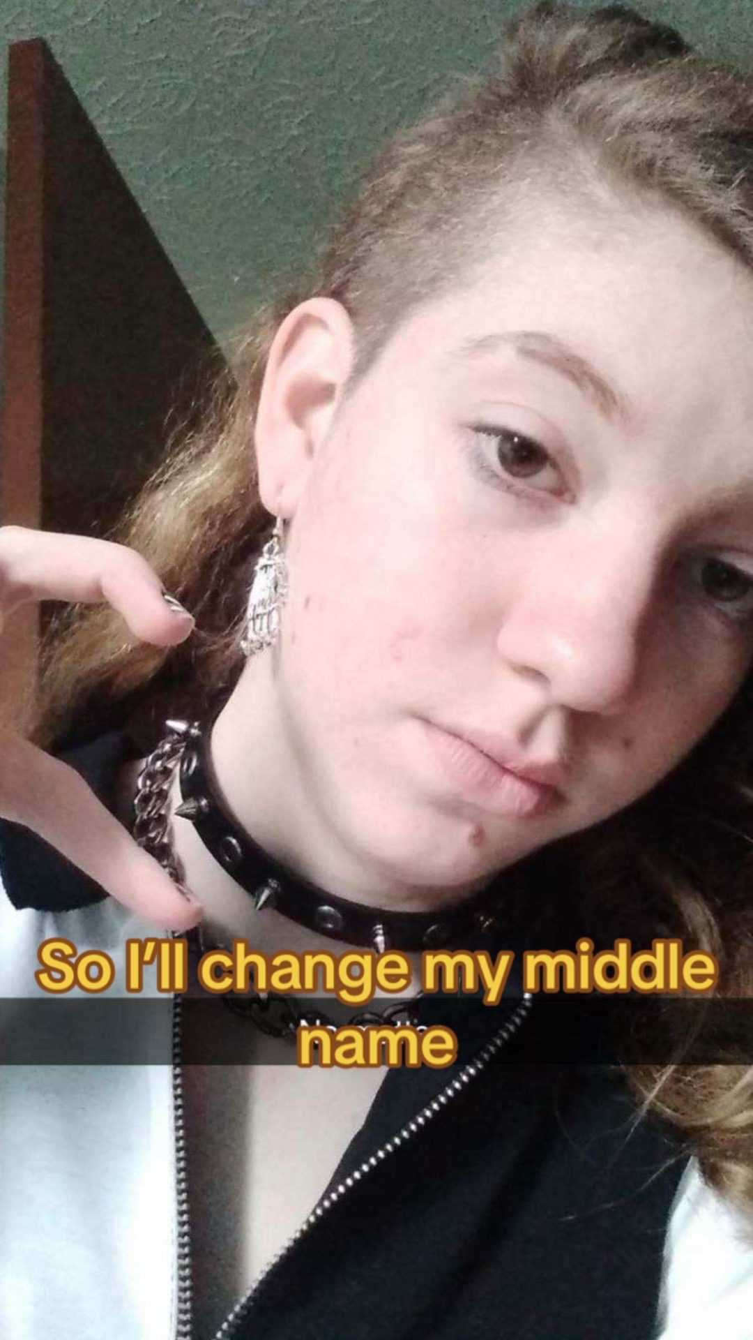 @Holfthefurry🦯♿️