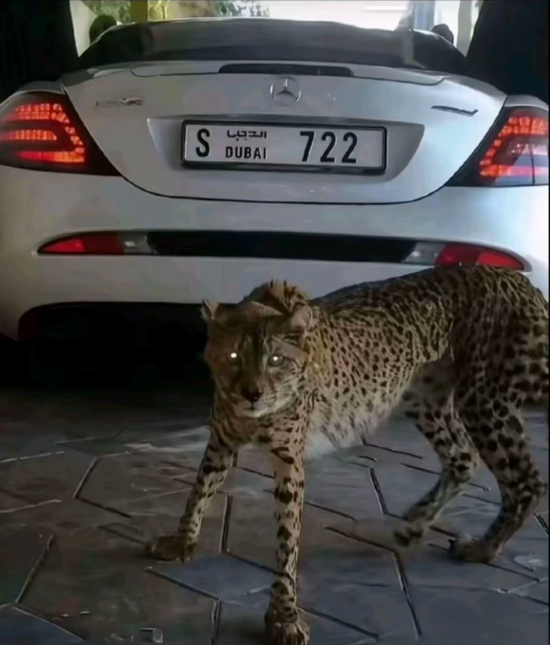 @🇧🇷🇧🇷🇧🇷🇧🇷