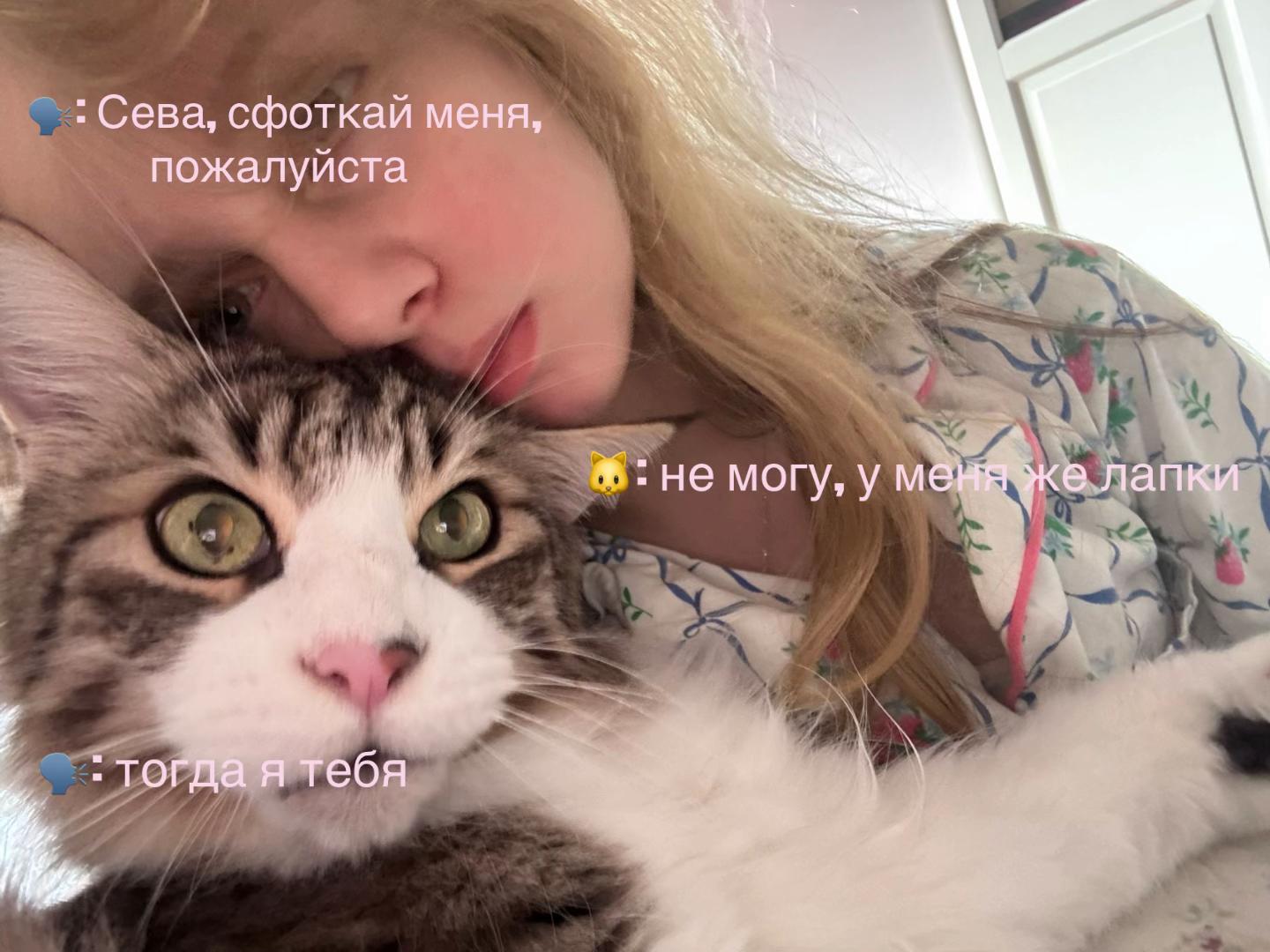 @𝓜 ᥫ᭡