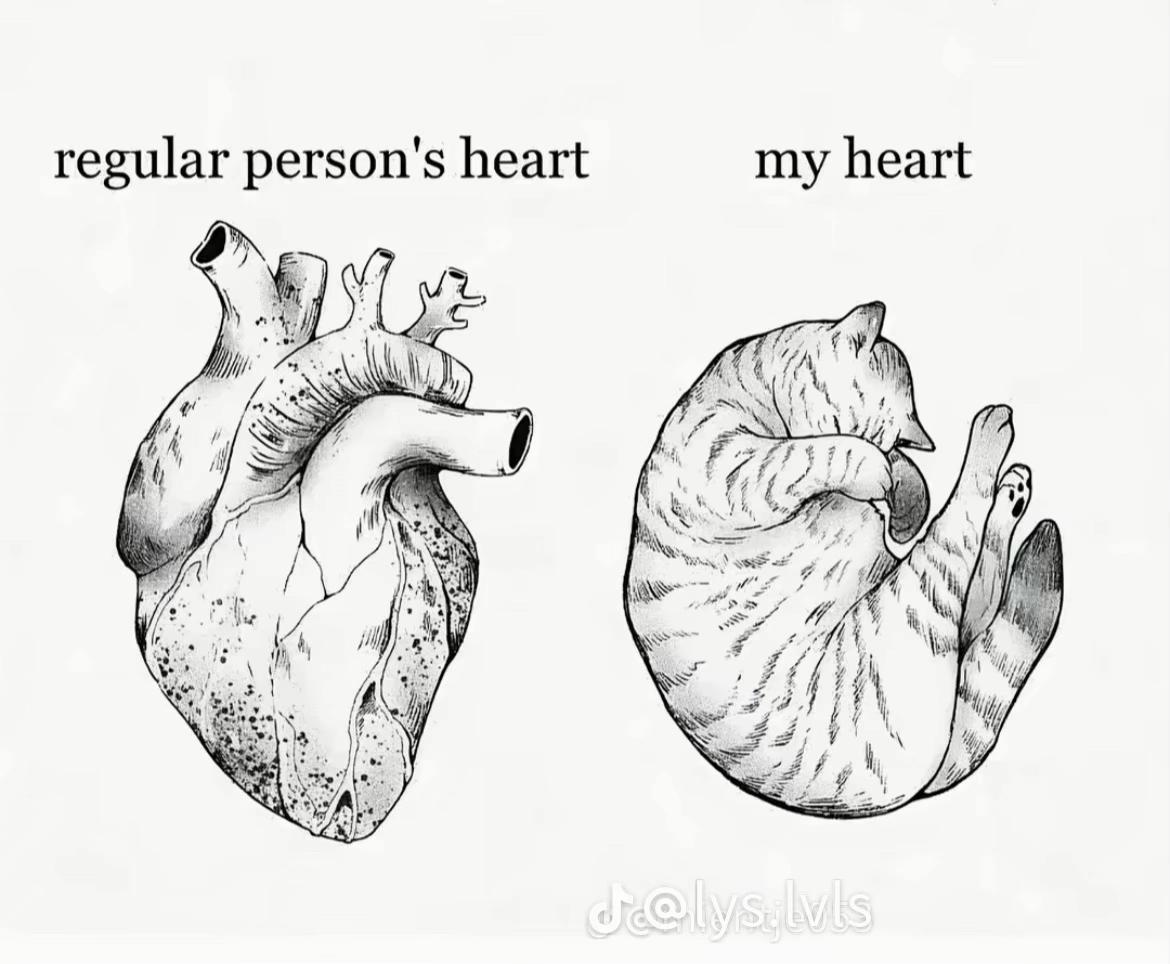 @Shay 🍒