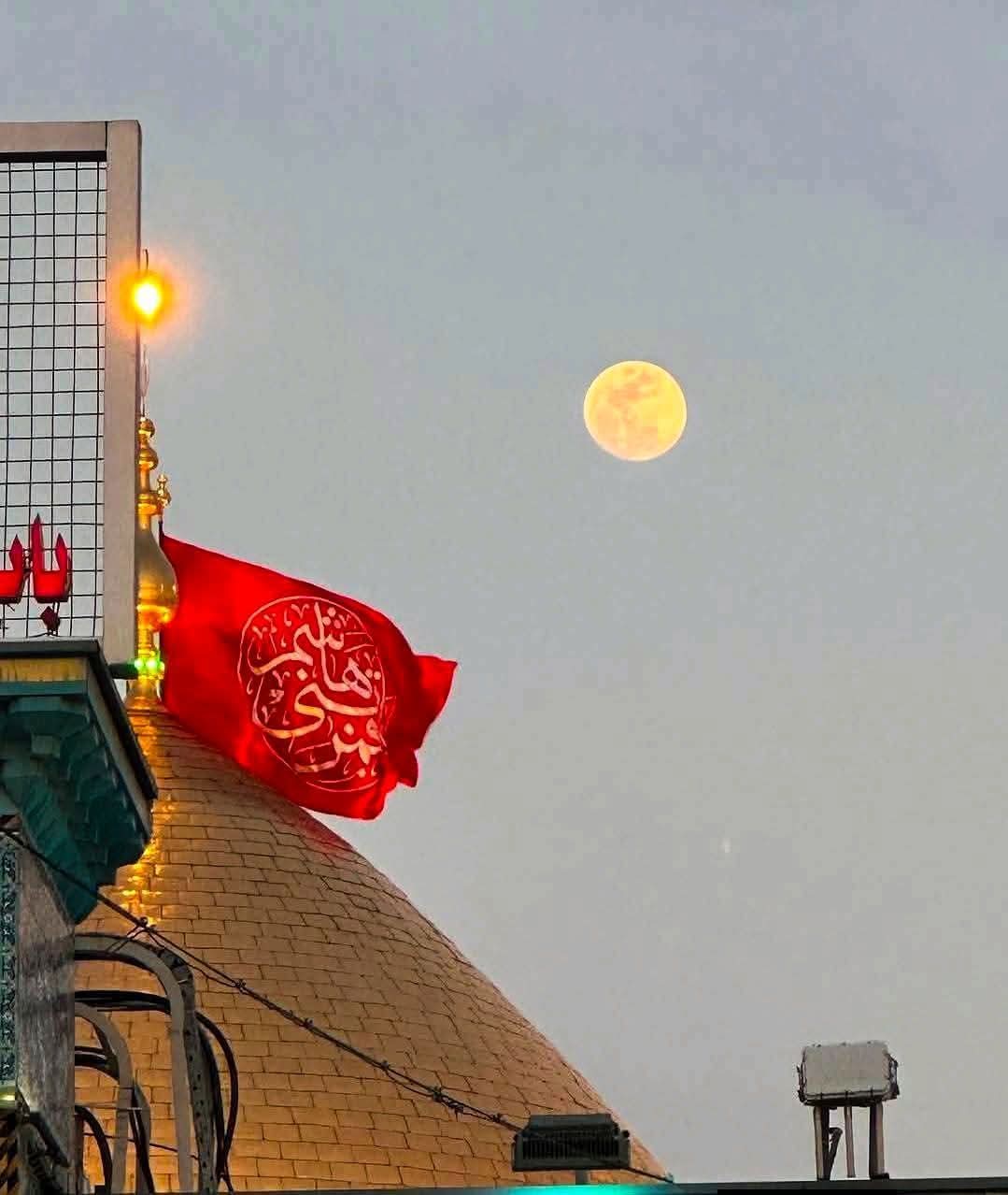 @علامہ ناصر عباس ملتان