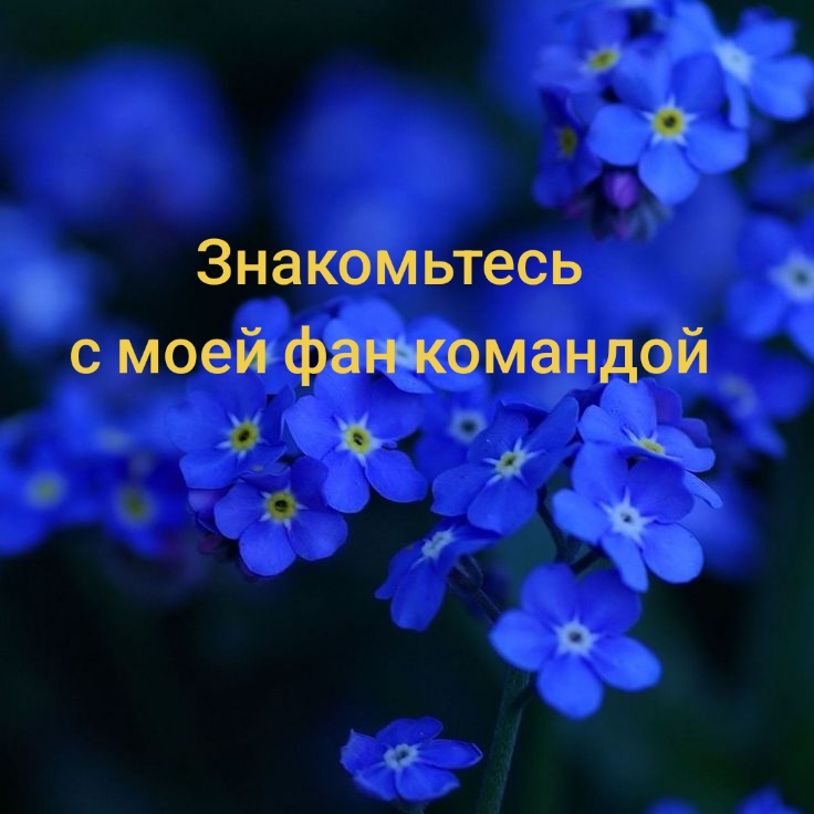 @🩵⭐Гена_мой_парень⭐🩵