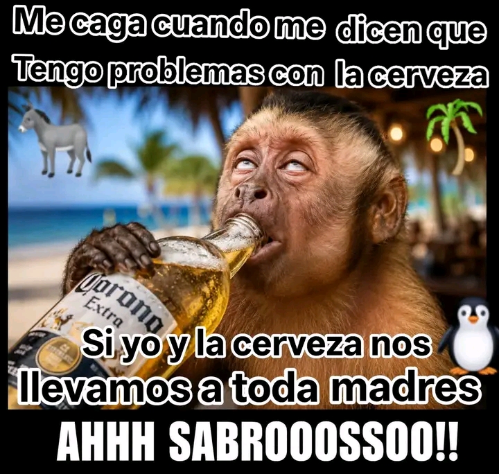 @Alex Rangel