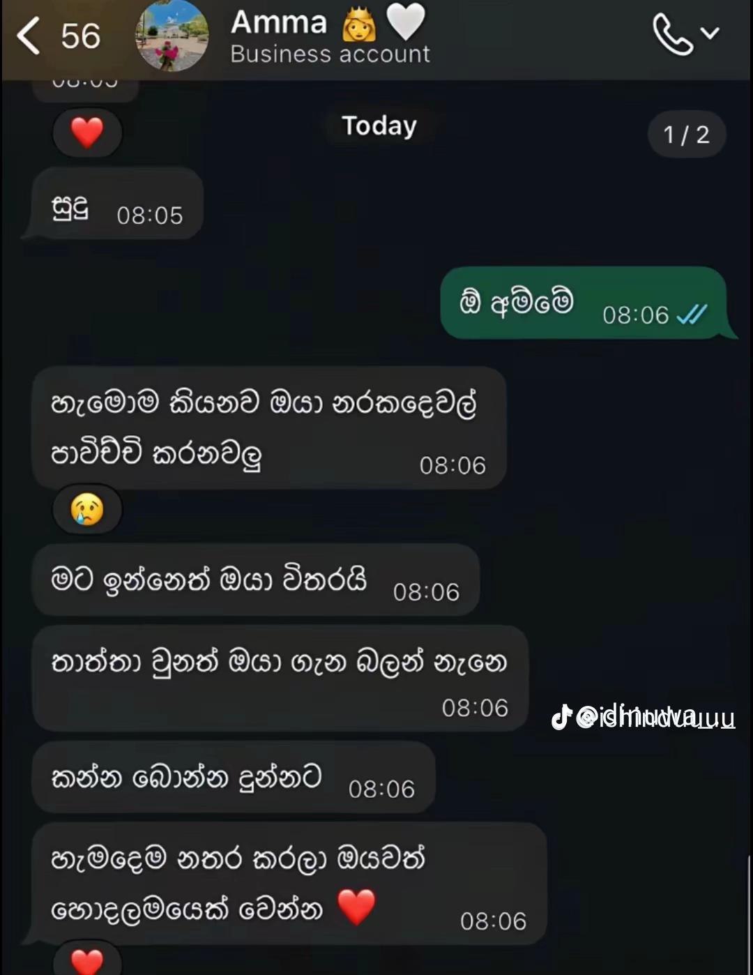@YN_Sadaru