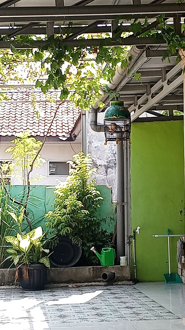 @Abd. syukur