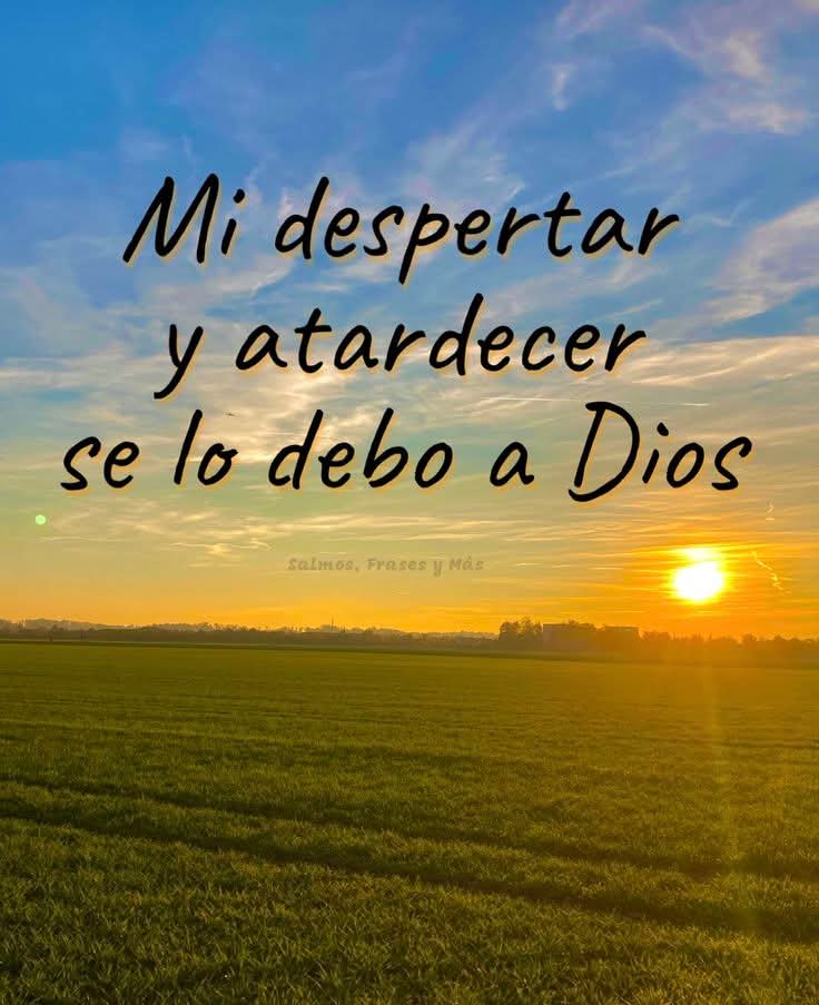 @adelina