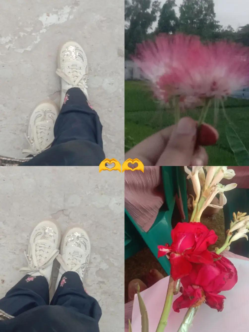 @đđ crash Quine đđ