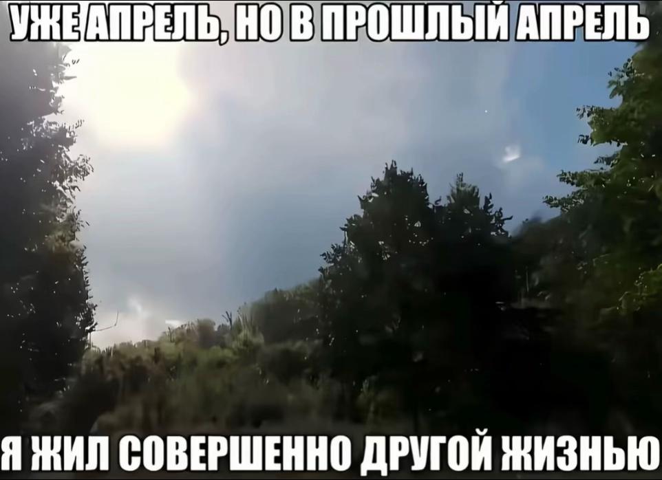 @sashka