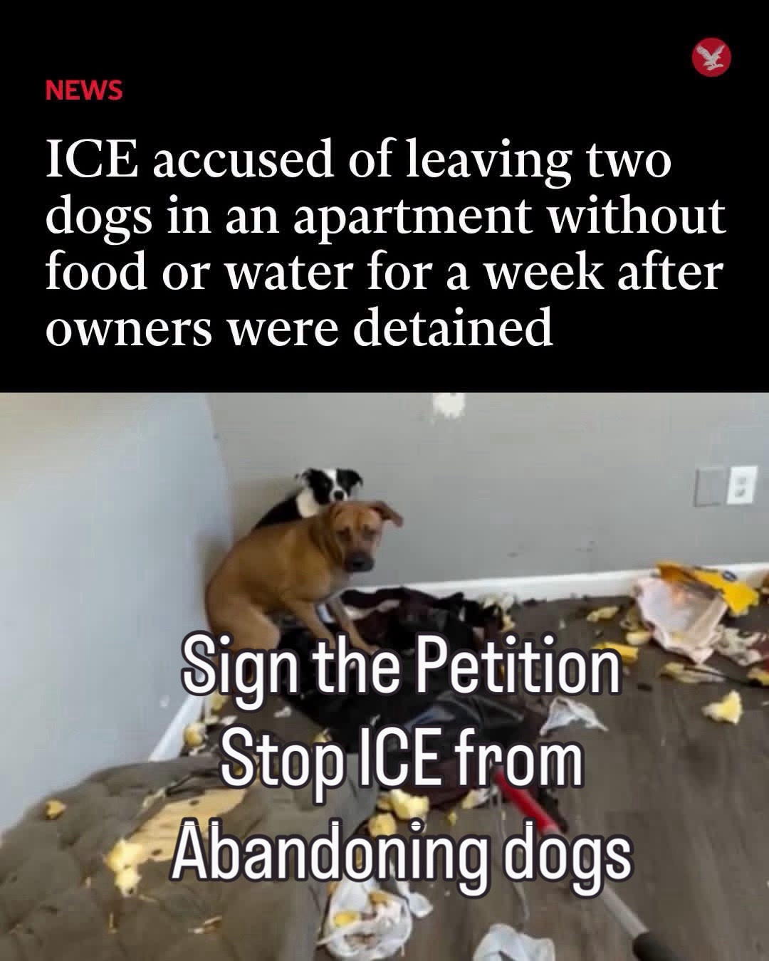 @AnimalWelfareGuy