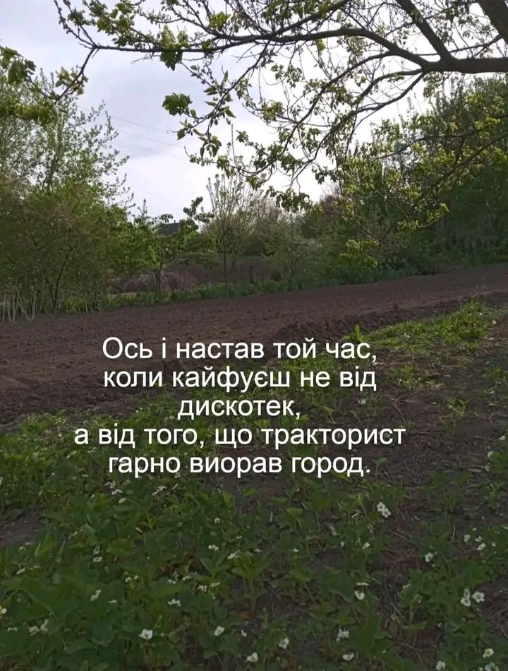 @tanysha🥰