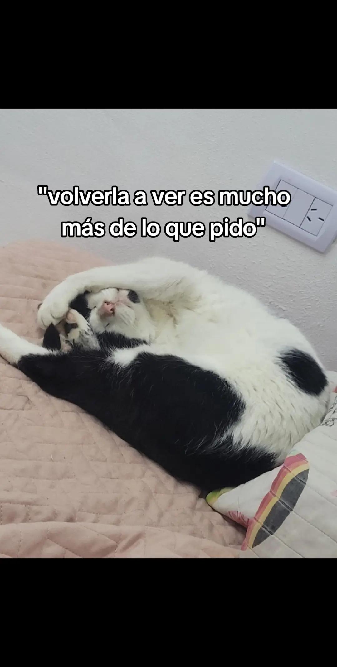 @Mai