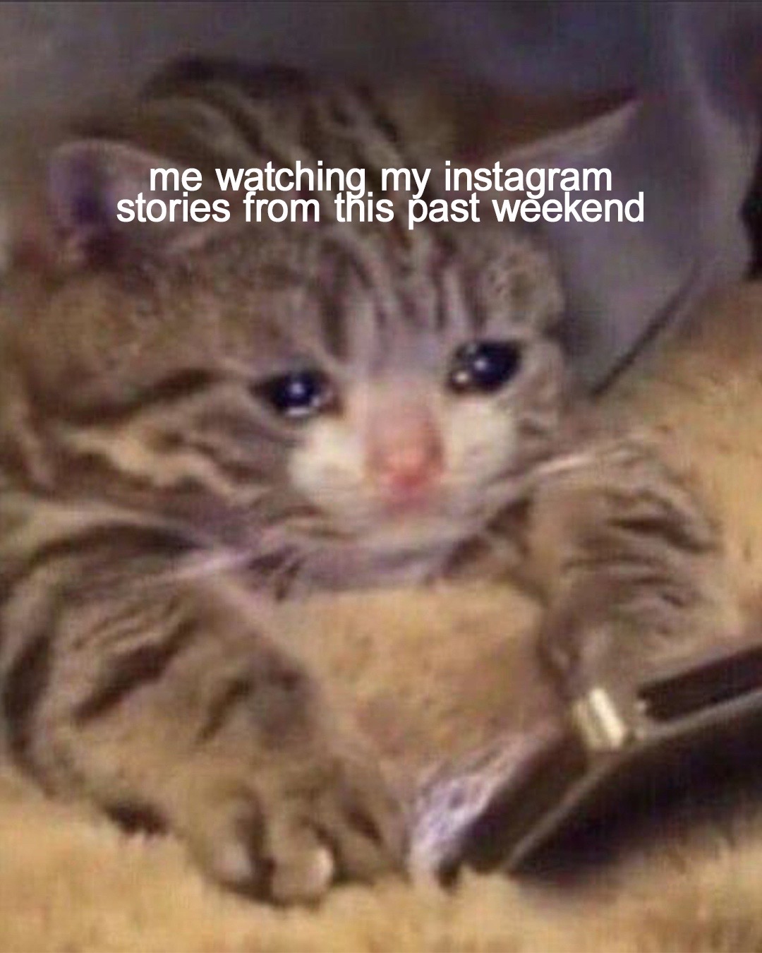 @Insomniac Records