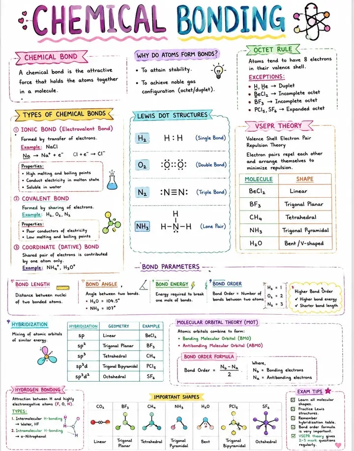 @All science Note&MCQS 9 to B.s
