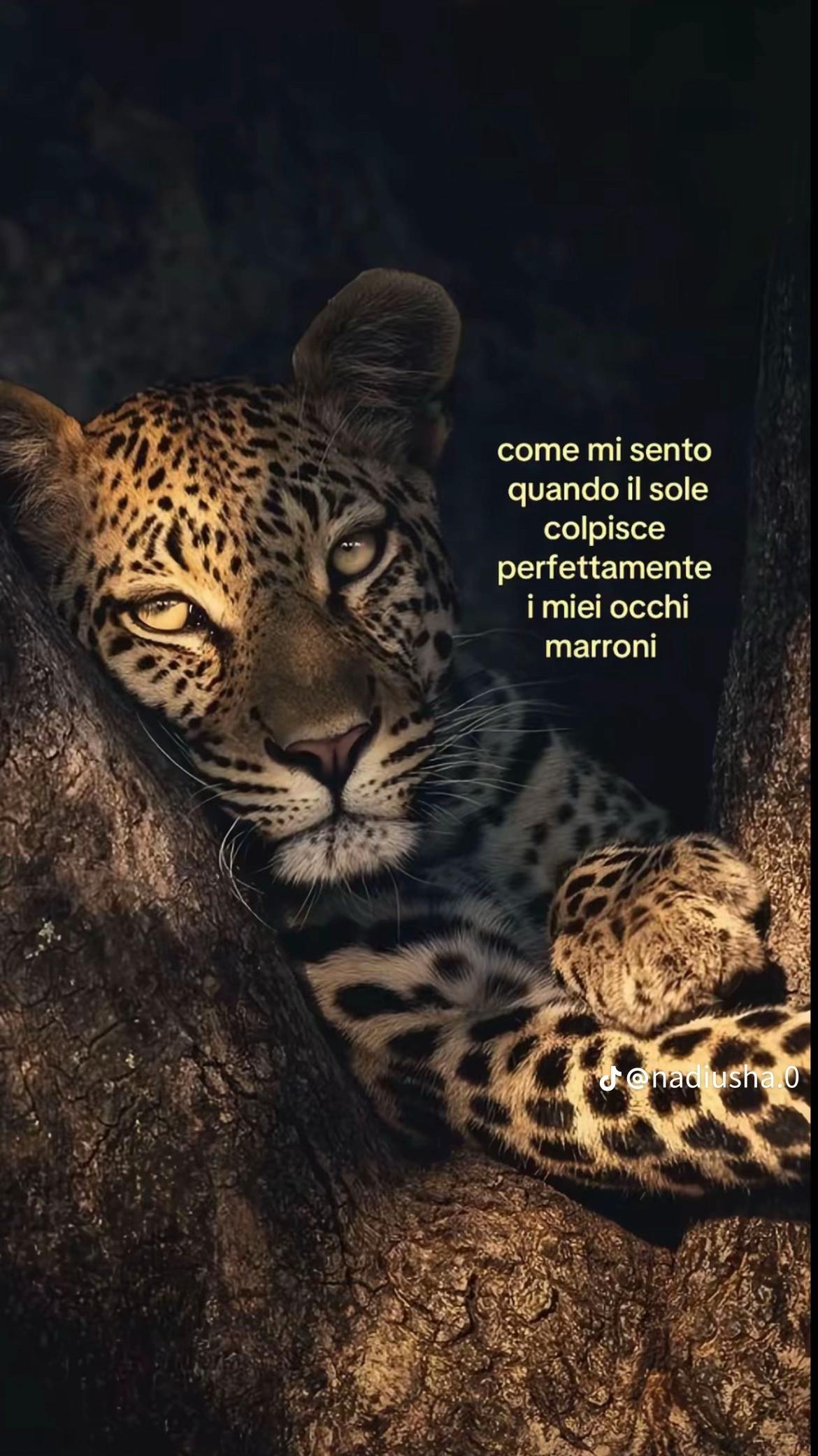 @gineee
