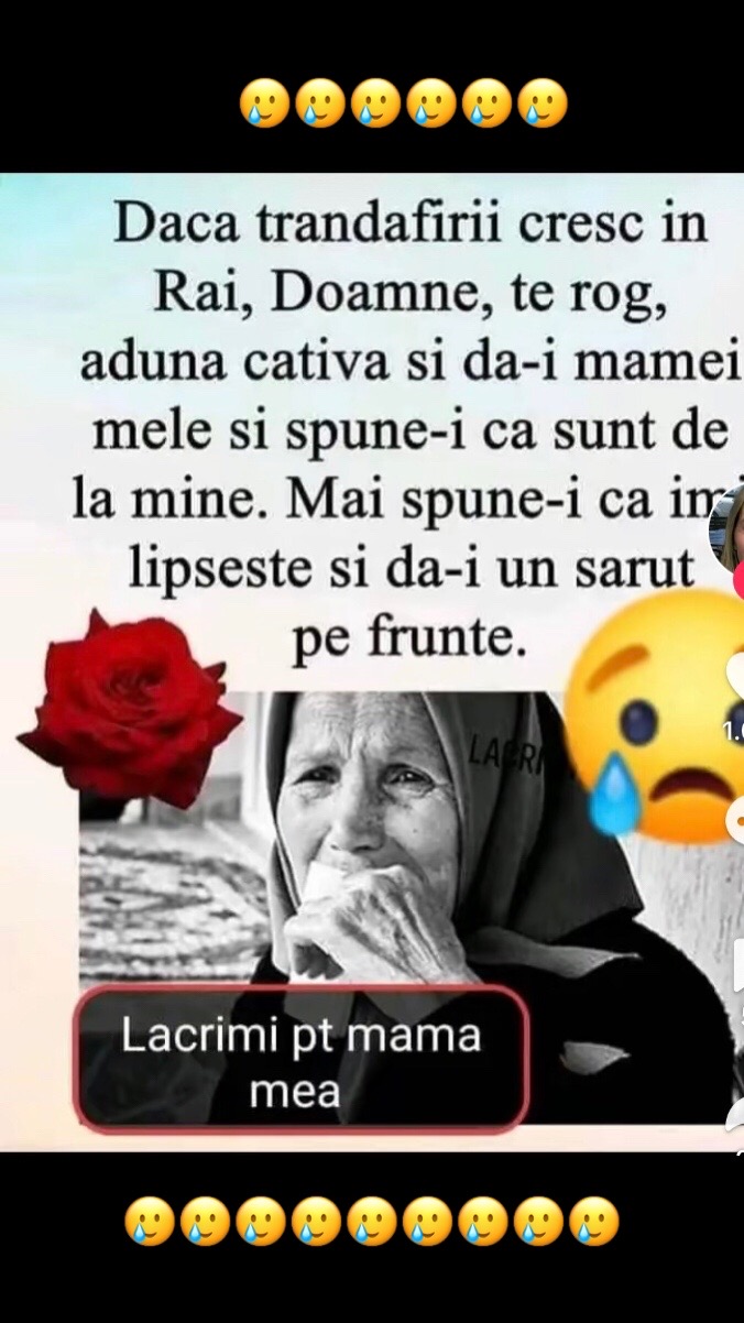 @Ana-N.