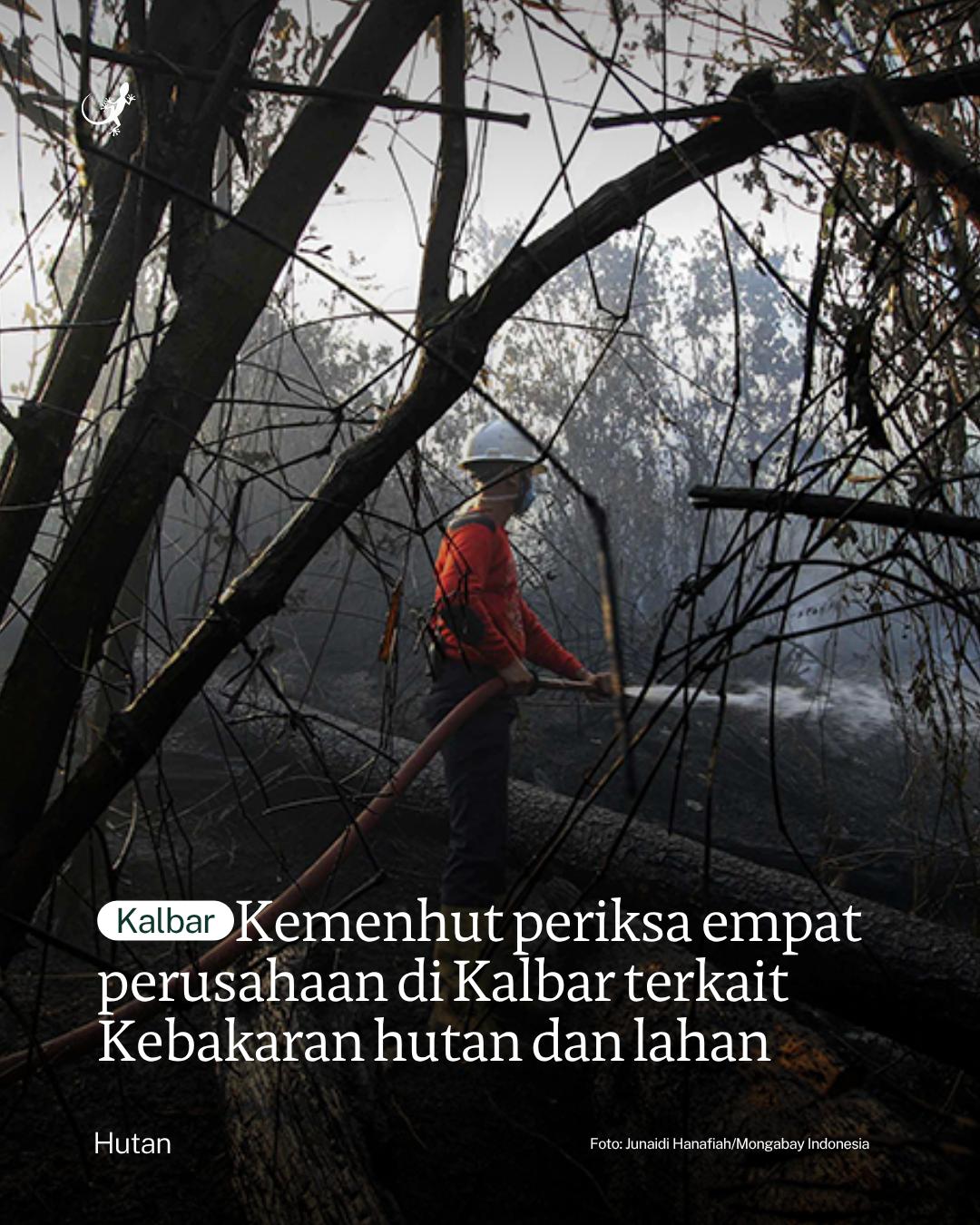 @mongabayindonesia