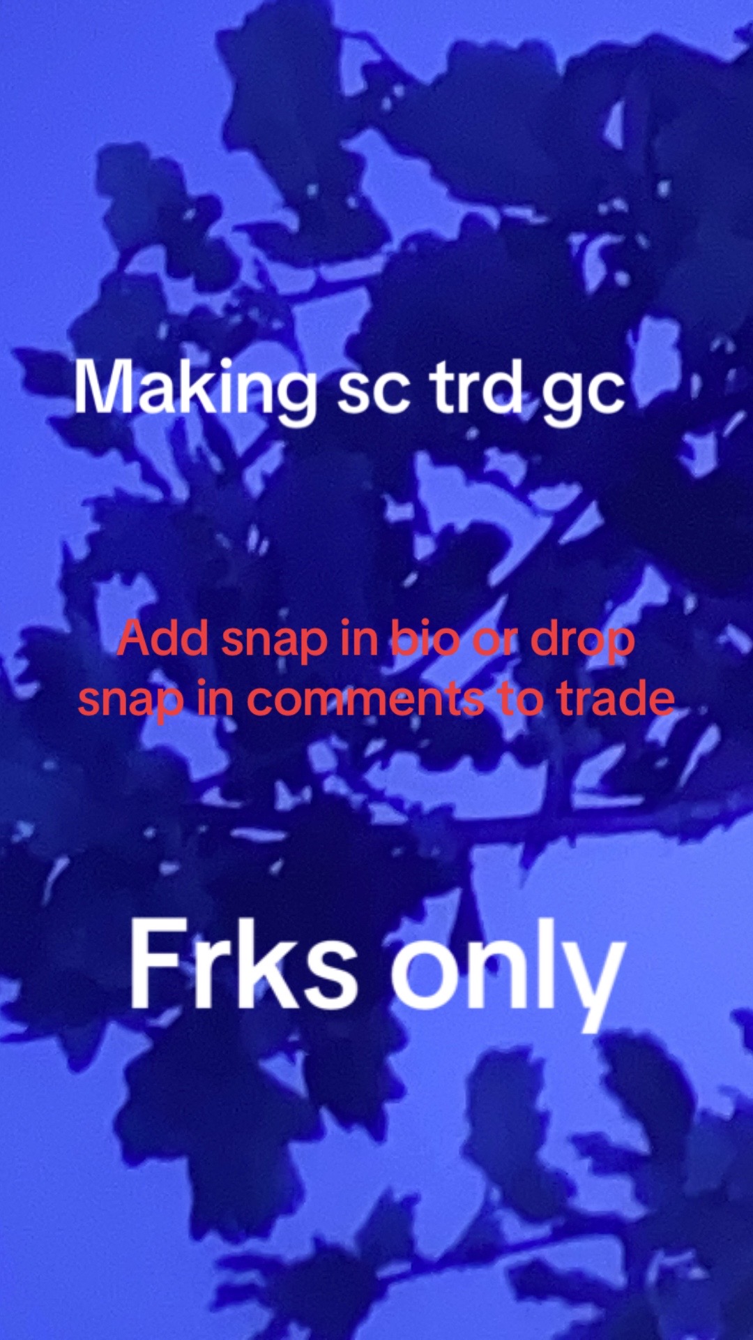 @Bigdbored42069