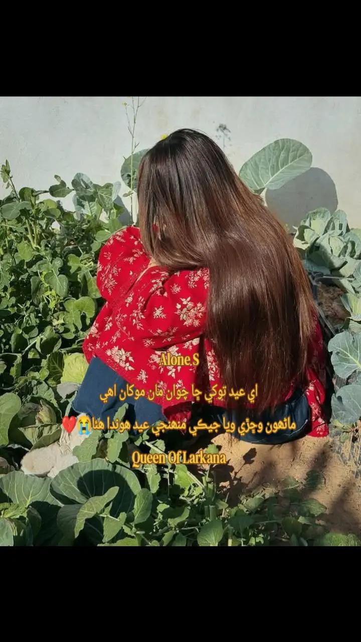 @◉✿لاڙڪاڻي جي راڻي✿◉